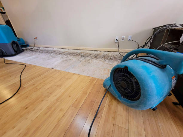 Professional Basement Flood Cleanup technician working in Gardner, CO